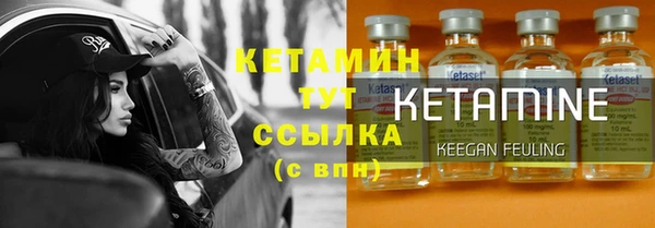 гидра Дмитров