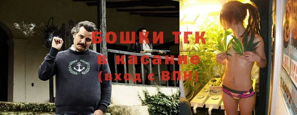 мяу мяу мука Няндома