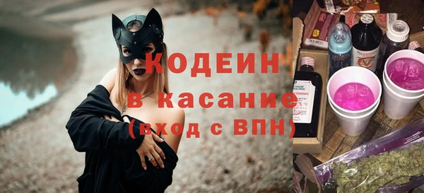 шишки Дмитровск