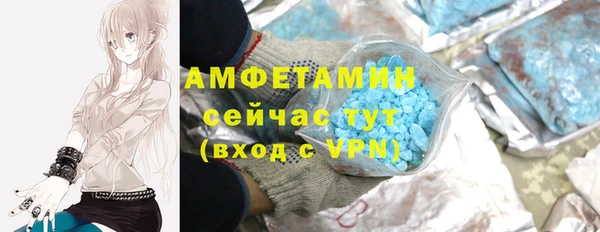 шишки Дмитровск